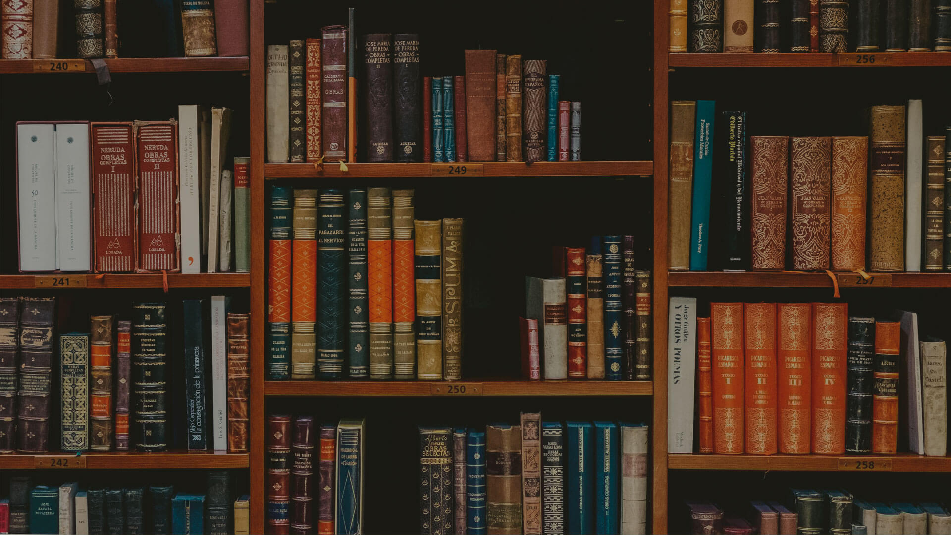 bg-banner